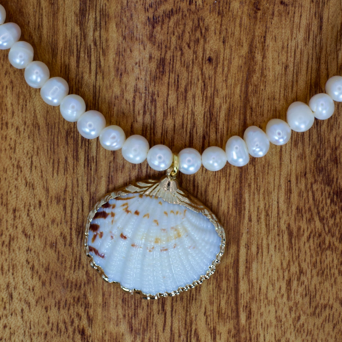 Seashell Necklace