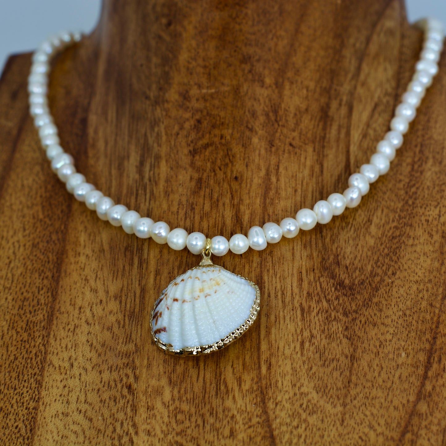 Seashell Necklace