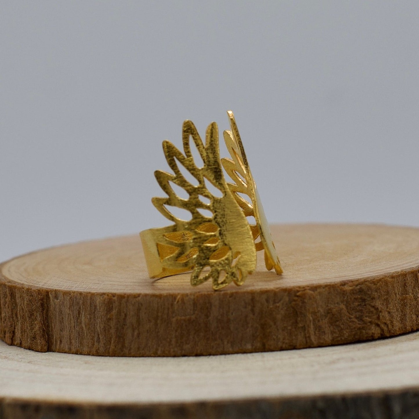 Anillo Alas