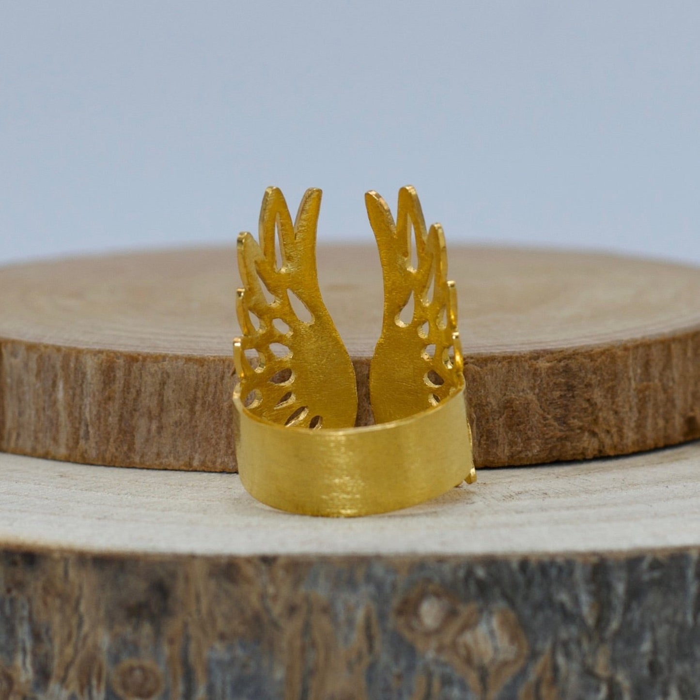 Anillo Alas
