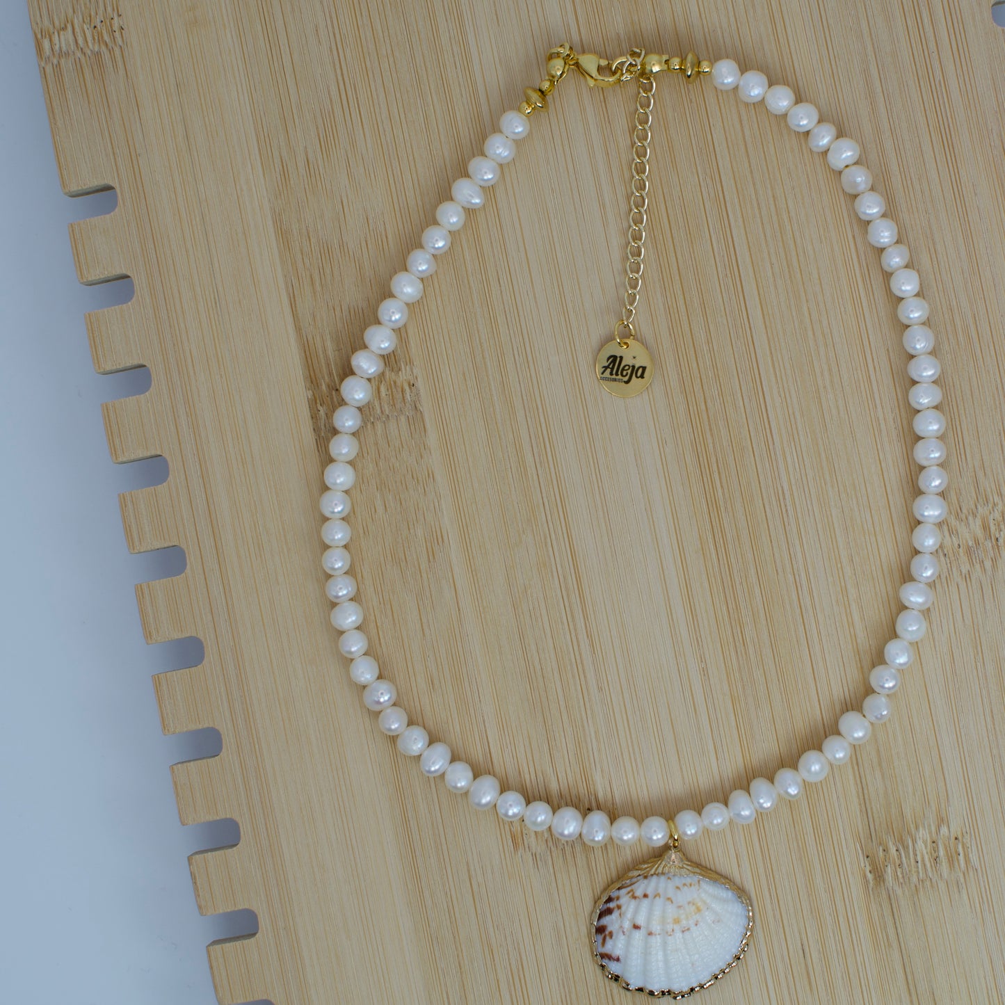 Seashell Necklace