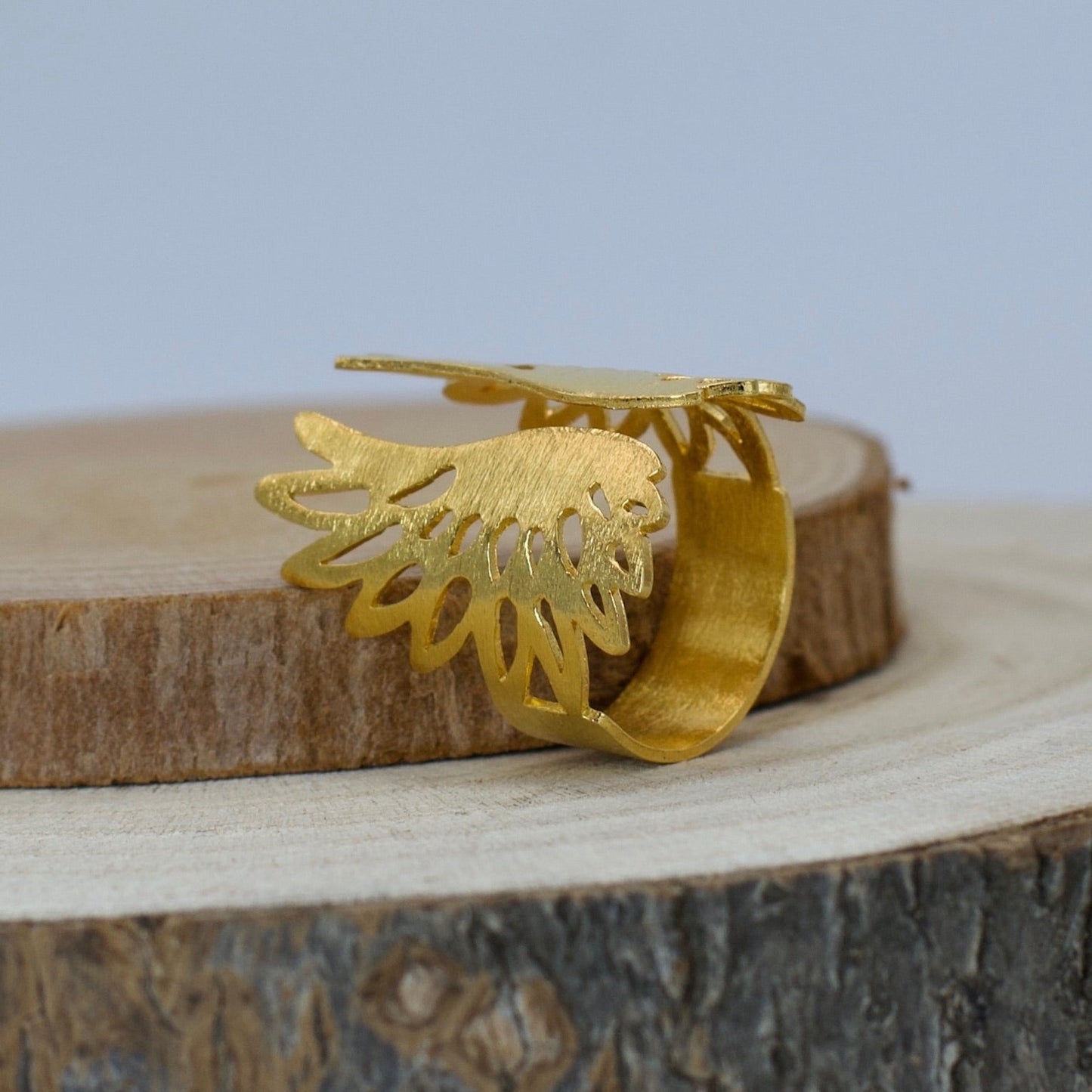 Anillo Alas