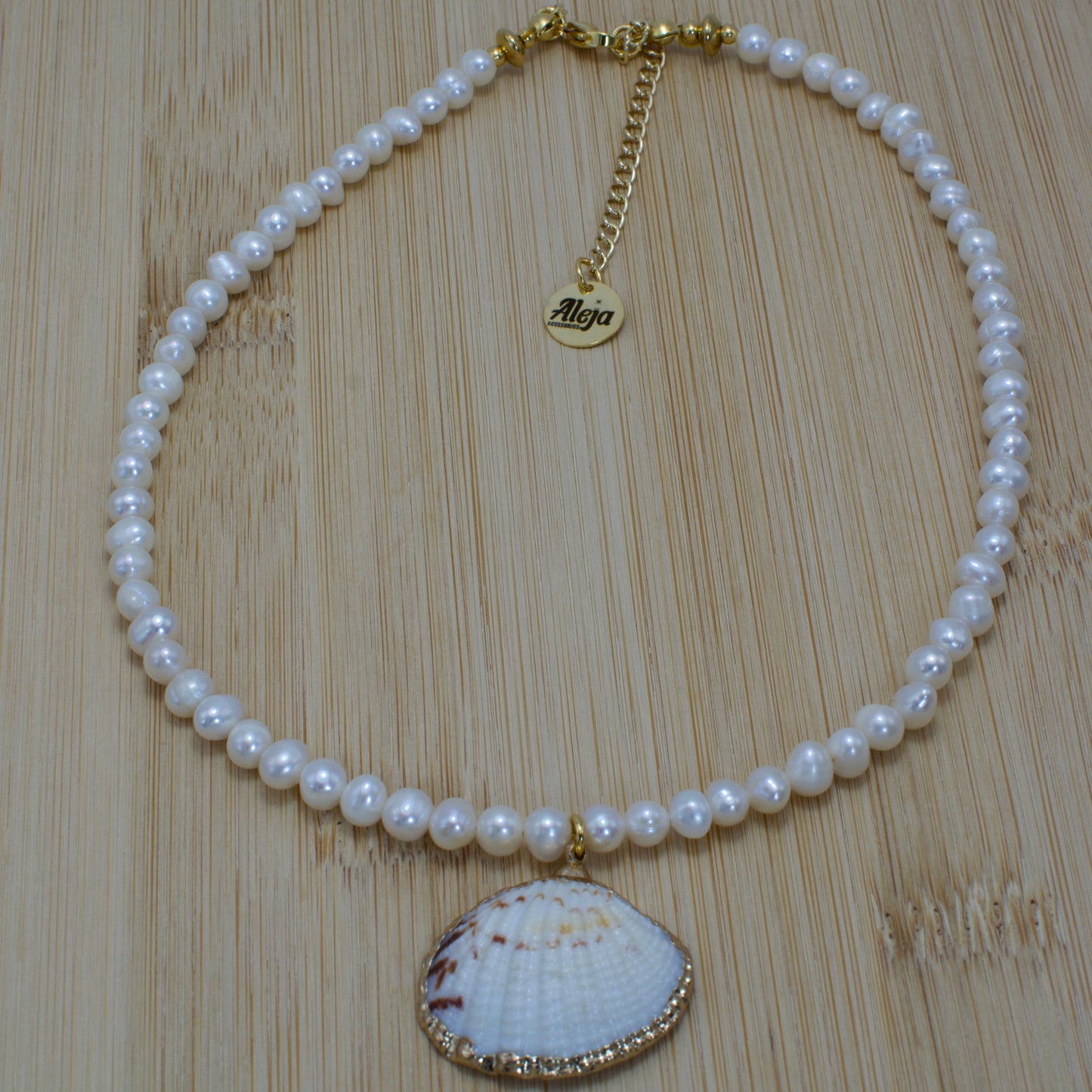 Seashell Necklace