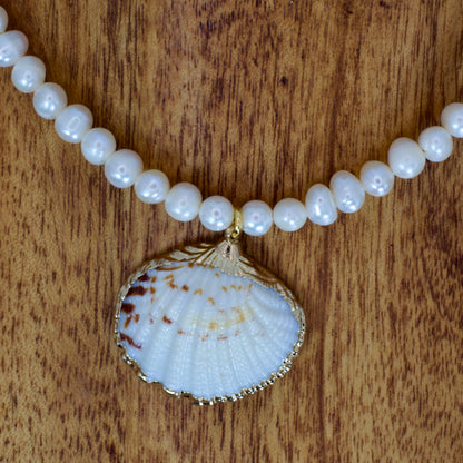 Seashell Necklace